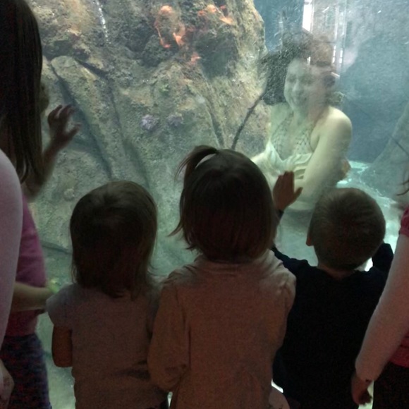 Meet your Posher, Tina - Picture 1 of 1